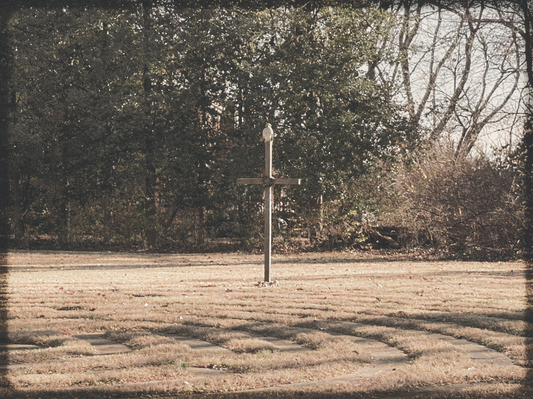 Be Swift to Love authentically